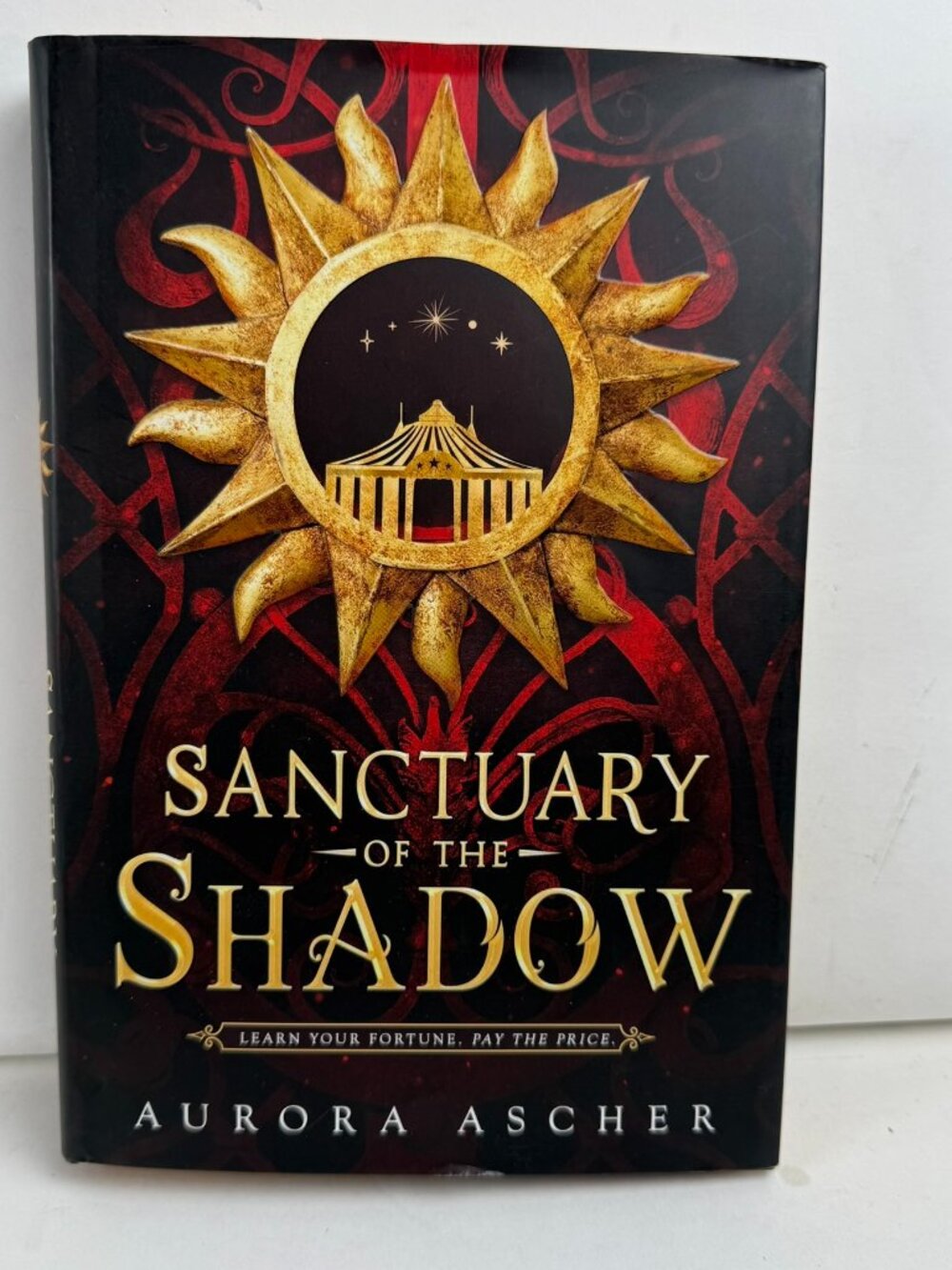 Sanctuary of the Shadow Aurora Ascher Fantasy Book HC DJ ISBN-139781649374110